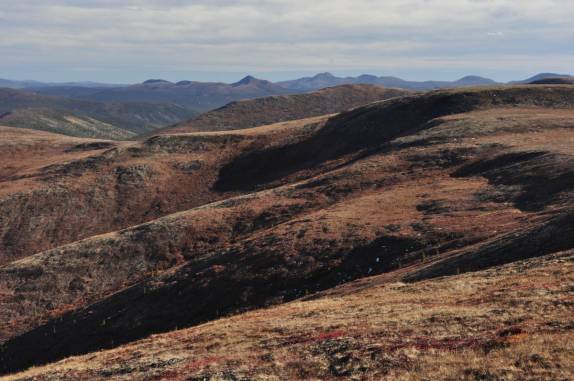 As belas paisagens da rodovia Top of The World Highway